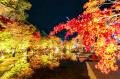 宮城県松島離宮 紅葉ライトアップ2026 10月24日(土)よ