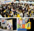 約5,000人が来場したネコフェスが2027年も開催決定！T