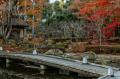 京都・鷹峯で、新たな工芸の祭典「MOSS KOGEI Kyoto 2