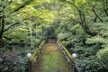 京都・鷹峯で、新たな工芸の祭典「MOSS KOGEI Kyoto 2