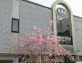 豊中市の障がい福祉サービス事業所「豊泉家チャレンジ