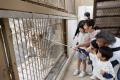 仮装でお得に、夜はドキドキ!
東武動物公園でutf-8 仮装でお得に、夜はドキドキ!
東武動物公園でutf-8