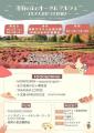 コキア紅葉見頃！＆『たきの紅葉まつり』11/10まで開
