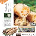 大切な人へ 感謝をこめた贈り物。「冬ギフト」承り開