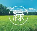 【千葉県印西市】みどりと べんりの すぐ隣り。印西市