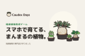 スマホで育てる、まんまるの植物。塊根植物の専門店が