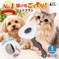 「掃除してもまた毛が…」秋の犬猫あるあるに、ブラシ