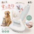「掃除してもまた毛が…」秋の犬猫あるあるに、ブラシ