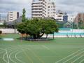 【10/17～12/20】展示「上板橋小学校創立150周年　ま