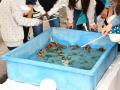 【千葉県柏市】＼柏市場一般開放デー～秋の旬めぐり～