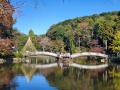 【東京都町田市】紅葉のライトアップと雲海が織りなす
