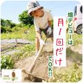 【法人も月1畑】福祉施設向け法人プランを11月より開 【法人も月1畑】福祉施設向け法人プランを11月より開