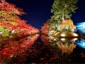 【JAF岩手】春だけじゃない！紅葉も楽しめる「みちの