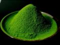 【大丸神戸店】神戸地区初！宇治抹茶を贅沢に使用した