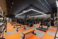 【FIT-EASY最大級！店舗面積800坪の旗艦店！】愛媛県2