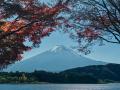 富士山の麓「BEE 河口湖」10月17日（土）販売開始。シ