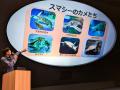 【神戸須磨シーワールド】ペンギンやカメについて学ん