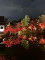 【京都】高台寺 圓徳院　2026年度「秋の夜間特別拝観
