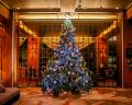 大切な人と過ごす 岡山国際ホテルのクリスマス 2026