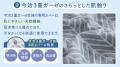 寝具専門店が作る「形を変えてあなたに寄り添う今治3 寝具専門店が作る「形を変えてあなたに寄り添う今治3