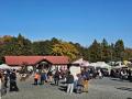 色づく渓谷で秋を味わう、埼玉県嵐山町「嵐山渓utf-8