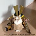猫と犬のかわいさに癒やされる6日間！横浜高島屋utf-8
