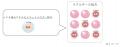 ご好評いただいた限定色が待望の定番化!肌に溶け込む ご好評いただいた限定色が待望の定番化!肌に溶け込む