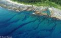 10万年の地層を現代アートに　喜界島「さんごの島科学