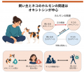 ネコと飼い主、オキシトシン濃度が相関 ―ネコとutf-8
