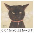 【新刊情報】ツンデレ黒猫と家族のいとおしい日々を描