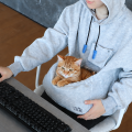 【猫飼いゲーマー専用ウェア】お腹のポッケに猫をINで