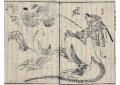 ＜しまねNEWS LETTER 2026年10月号＞ 全てが“県外不出