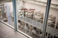 都市型ワイナリー「BLUE WAX WINERY」が「2026年度グ