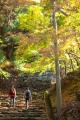 【福岡県久留米市】参加者大募集！この秋、紅葉が彩る