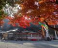 【福岡県久留米市】参加者大募集！この秋、紅葉が彩る