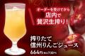 【上高地あずさ珈琲】完全“生搾り”へ。長野県飯綱町の