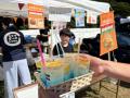まるで海外！？出雲日御碕灯台に異国情緒漂う