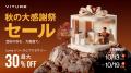 VITURE、Nintendo Switch 2を大画面で楽しめる「VITUR VITURE、Nintendo Switch 2を大画面で楽しめる「VITUR