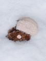 minitmute、26 Winter Vacationコレクション「snow fl minitmute、26 Winter Vacationコレクション「snow fl