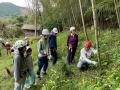 【竹を伐る、竹を活かす。楽しみながら森林保全やSDGs 【竹を伐る、竹を活かす。楽しみながら森林保全やSDGs