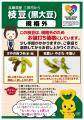 もったいないをみんなで減らす!枝豆(丹波黒黒大豆) もったいないをみんなで減らす!枝豆(丹波黒黒大豆)