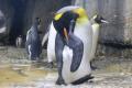 【仙台うみの杜水族館】夜の水族館で謎を解け。『謎解