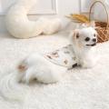累計販売28.9万枚を突破した人気シリーズ！　愛犬のた