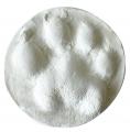 愛犬の“ポコッとした肉球”を粘土で再現！「ペット足形