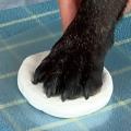 愛犬の“ポコッとした肉球”を粘土で再現！「ペット足形
