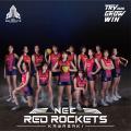 株式会社りらいぶ、女子バレーボールチーム「NECレッ 株式会社りらいぶ、女子バレーボールチーム「NECレッ