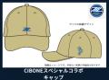 ＦＣ町田ゼルビア、クラウドファンディング”町田GION