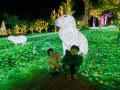 【イルミネーション】100万球を超える輝き“Wonder Nig