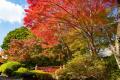 奈良富雄の料亭百楽荘で紅葉の庭園を特別公開「utf-8