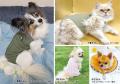 術後や治療中も、犬猫の「いつも通り」を支えるutf-8